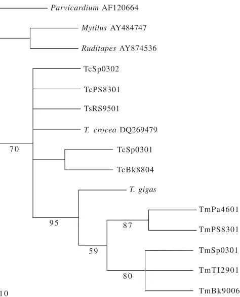 Table 3. Inter- and intraspecies sequence divergences of giant clam