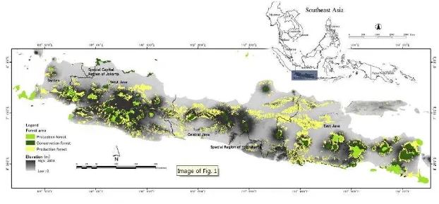 Gambar  1 Pulau Jawa dan alokasi daerah hutan (Setiawan et al. 2013) 