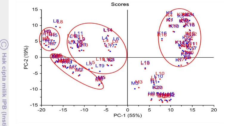 Gambar 1  Score plot hasil PCA sampel temu lawak (L), temu mangga (M), temu 
