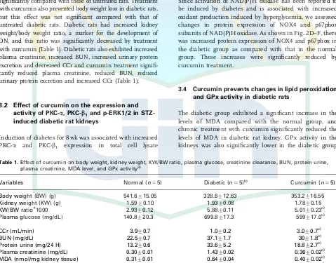 Table 1. Effect of curcumin on body weight, kidney weight, KW/BW ratio, plasma glucose, creatinine clearance, BUN, protein urine,