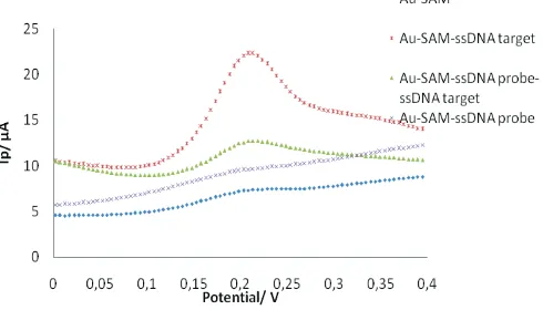 Fig. 4.  The DPV voltammograms of guanine signal using Au-SAM in 0,1 M PB solution pH 7,0