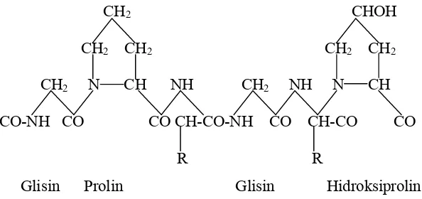 Gambar 3. Struktur Kimia Gelatin (Poppe, 1992) 