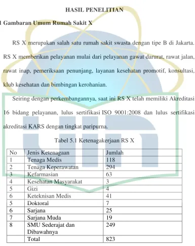 Tabel 5.1 Ketenagakerjaan RS X 