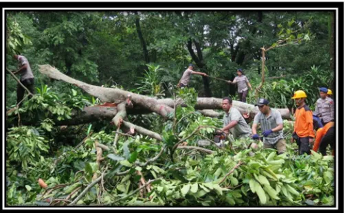Gambar 1.1 Kejadian Pohon Tumbang di Kebun Binatang Gembira Loka, 30 Maret 2016 (Sumber : http://www.tempo.co)