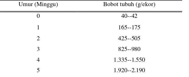 Tabel 4.  Bobot tubuh broiler di daerah tropis.  
