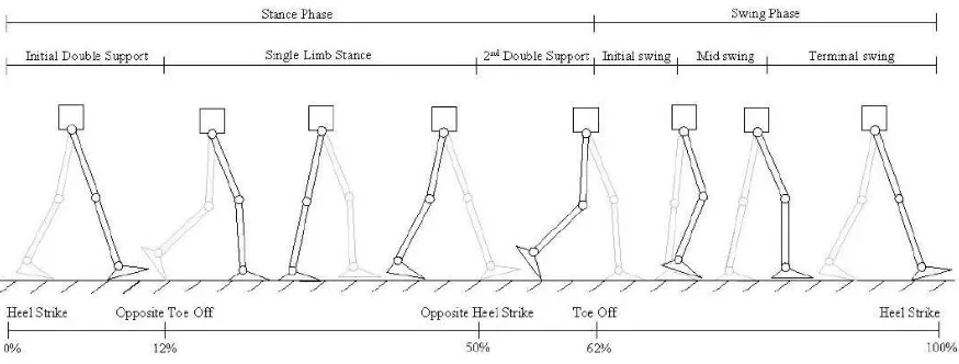 Figure 2.1: Walking cycle for stairs climbing motion, adapted from [6] 