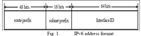 Fig. 1.IPv6 address format