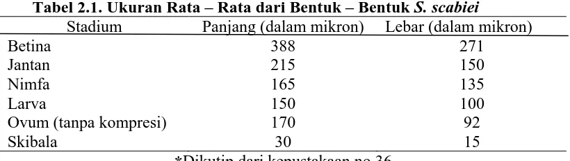 Tabel 2.1. Ukuran Rata – Rata dari Bentuk – Bentuk S. scabiei Stadium Panjang (dalam mikron) Lebar (dalam mikron) 