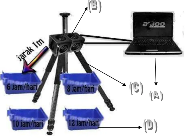 Gambar 5. Skema Penelitian, (A) Laptop dengan suara aplikasi souncard scope,       (B) Speaker sumber suara, (C) Tripot, (D) Tempat penelitian yang       diletakkan secara acak