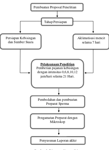 Gambar 6. Diagram alir penelitian 