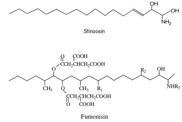Gambar  5   Perbandingan Struktur Fumonisin dan Sfingosin  
