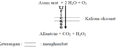 Gambar 5. Mekanisme aksi dari potassium oxonate dalam meningkatkan kadar asam urat (Mazzali, et al., 2001)  