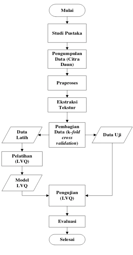 Gambar 1  Metodologi penelitian 
