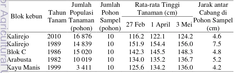 Tabel 5. Rata-rata tinggi tanaman dan jarak antar cabang tanaman kopi 