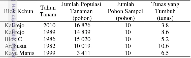 Tabel 6. Jumlah tunas yang tumbuh setelah pemangkasan cabang tanaman kopi Arabika di Kebun Blawan 