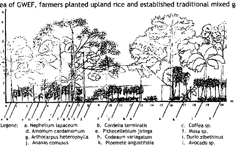 Figure 1. Profile of Typical Home garden in the Villages Surround GWEF 