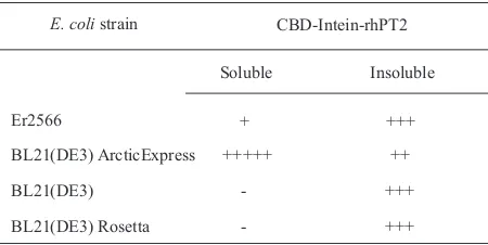 Table 1 Pattern of hPT2 expression in E. coli