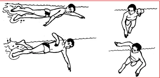 Gambar  5.latihan lengan 
