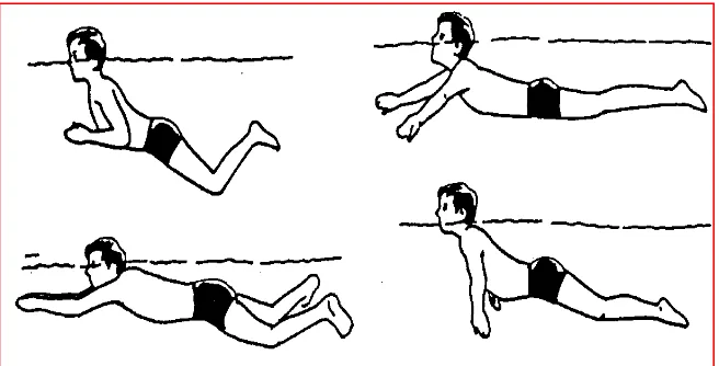Gambar 8.  Posisi tubuh saat melakukan renang gaya dada 