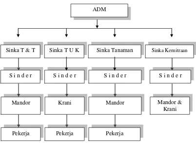 Gambar 4.   Bagan Struktur Organisasi PT. Perkebunan Nusantara VII Unit Usaha                        Rejosari 