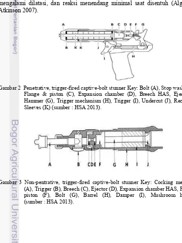 Gambar 2  Penetrative, trigger-fired captive-bolt stunner Key: Bolt (A), Stop washers (B), 