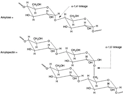 Gambar 2.1 Struktur Molekul Amilosa dan Amilopektin [19] 