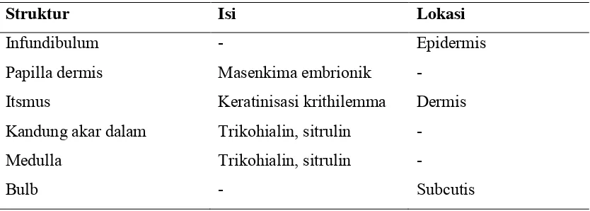 Tabel 2.1: Struktur Rambut 