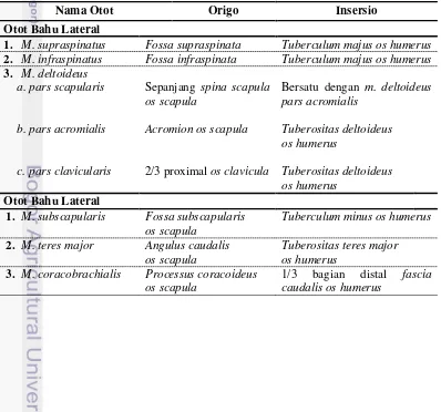 Tabel 3  Origo dan insersio otot-otot daerah bahu landak jawa 