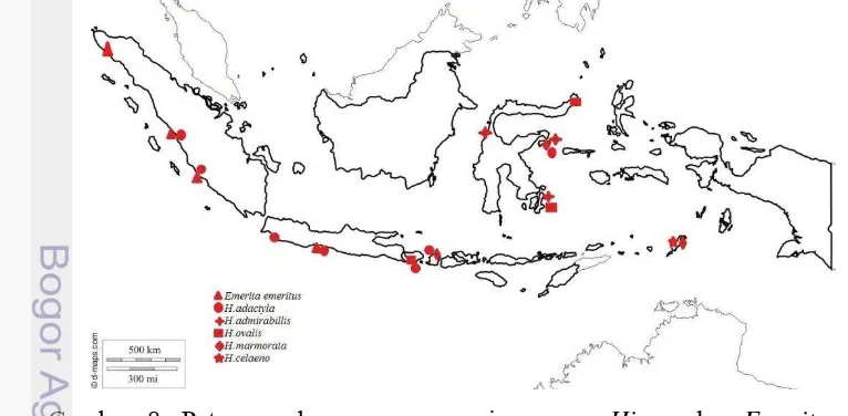 Gambar 8. Peta persebaran enam spesies genus Hippa dan Emerita di 