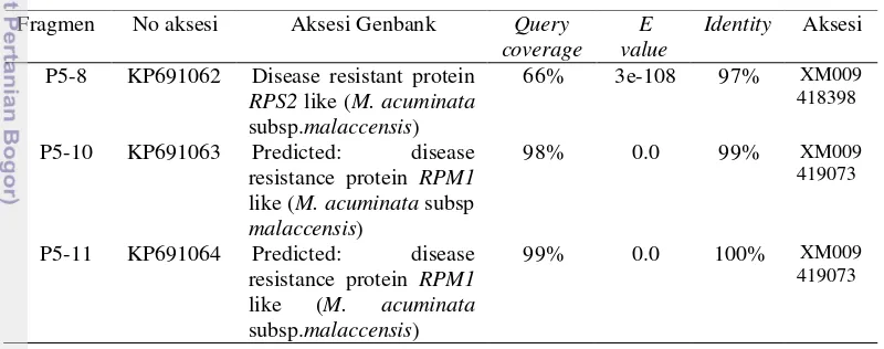 Tabel 3 Sequence identity antara sekuen prediksi asam amino tanaman pisang 