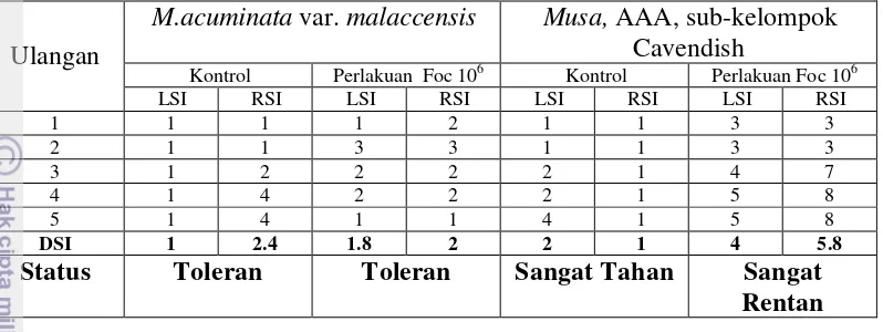 Tabel 5. Status ketahanan/kerentanan Musa acuminata var. malaccensis dan 