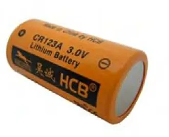 Figure 2.3.3 Example of Lithium Battery 