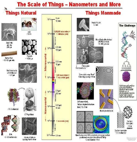 Gambar 1.4  Perbandingan skala nano dengan benda lain, serta contohnya 