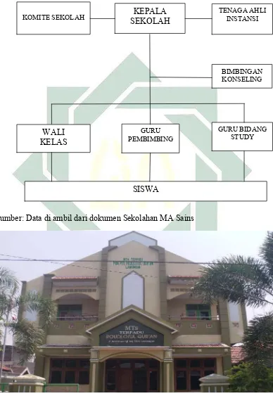Gambar 03.4 Struktur Organisasi Pelayanan Bimbingan dan Konsiling Madrasah Aliyah Sains Roudlotul Qur’an  