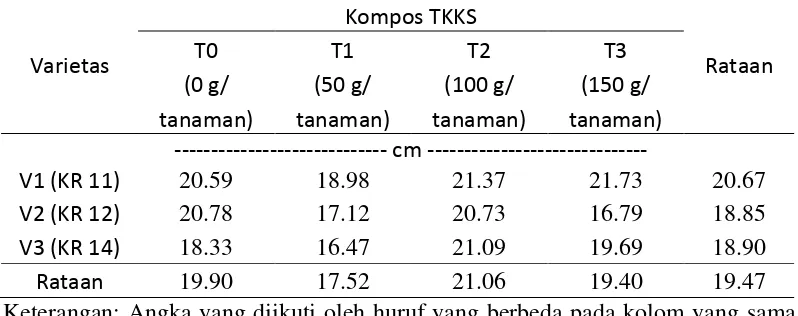 Tabel 6 menunjukkan bahwa panjang  akar kenaf pada perlakuan varietas 
