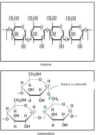 Gambar 1. Struktur amilosa dan amilopektin  