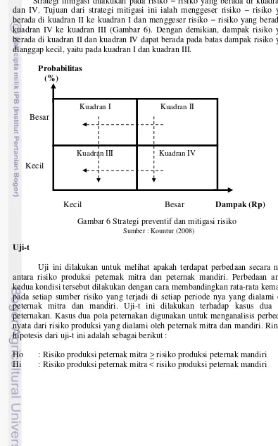 Gambar 6 Strategi preventif dan mitigasi risiko  