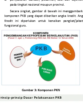 Gambar 3: Komponen PKN 