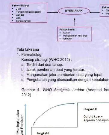 Gambar  4.  WHO Analgesic Ladder (Adapted  from  WHO 