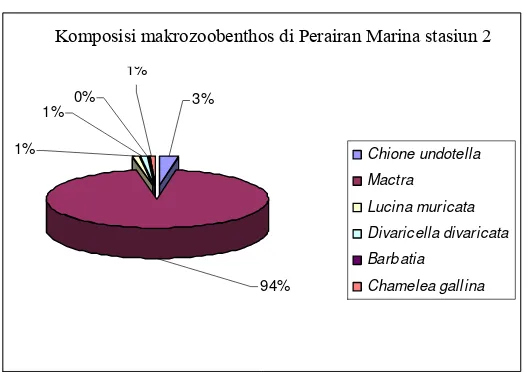 Gambar 6. Komposisi makrozoobenthos stasiun 3 Perairan Marina 