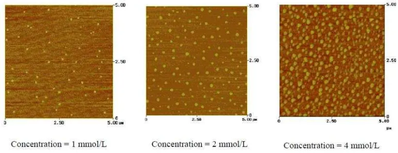 Figure 2.4: AFM images on different concentration prove that high concentration will increase the 