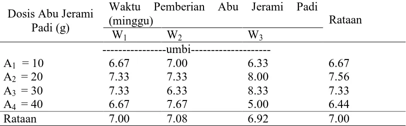 Tabel 7. Total umbi per plot terhadap perlakuan dosis dan waktu pemberian abu jerami padi Waktu Pemberian Abu Jerami Padi 