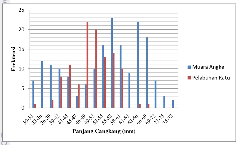 Gambar 4   Grafik Pola Sebaran Data Panjang Perna viridis di Muara Angke dan 