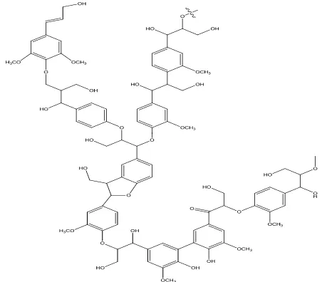 Gambar 5. Struktur senyawa lignin (Gregory, 2007) 
