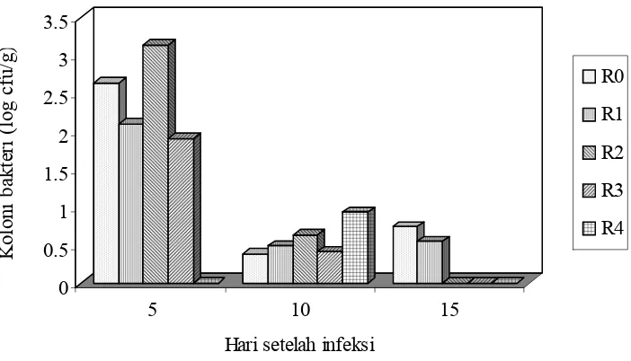 Gambar 1. Jumlah koloni bakteri Salmonella sekum setelah hari infeksi (log cfu/g)