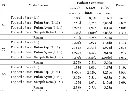 Tabel 4. Jumlah tunas (tunas) tanaman buah naga pada komposisimedia tanam dan panjang setek pada umur 60, 75 dan 90 HST 