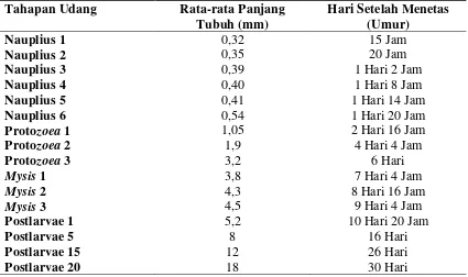 Tabel 1. Umur dan Panjang Tubuh Larva Udang Windu (Penaeus monodon )  