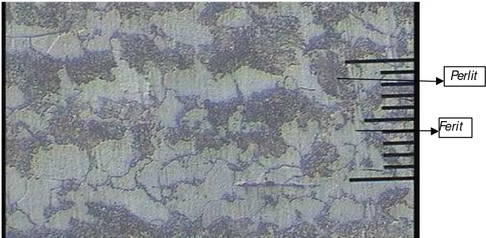 Gambar 4.1. Struktur Mikro Baja Paduan dengan Spesimen Raw (200×) 
