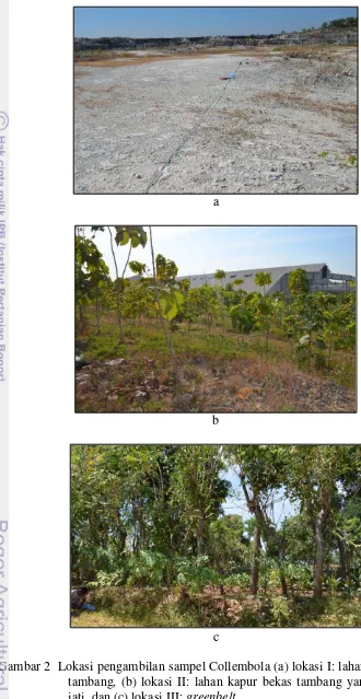Gambar 2  Lokasi pengambilan sampel Collembola (a) lokasi I: lahan kapur bekas  