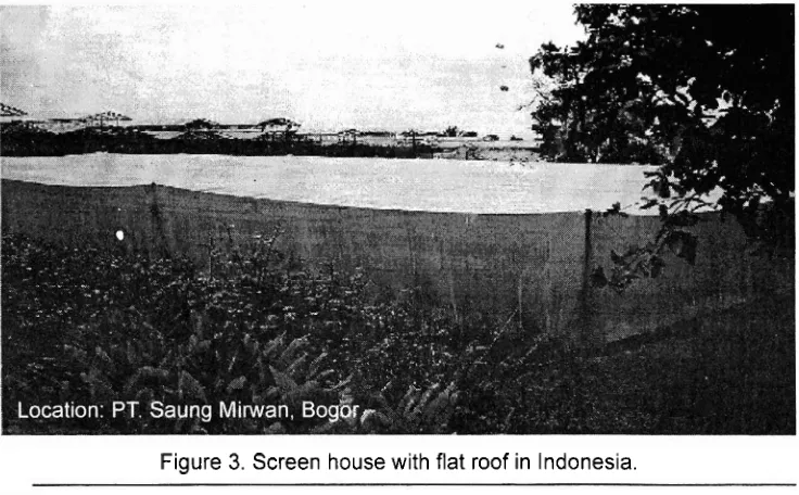 Figure 3. Screen house with flat roof in Indonesia. 